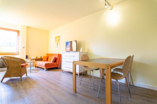 Ferienwohnpark Immenstaad am Bodensee Ein-Zimmer-Apartment 53 03