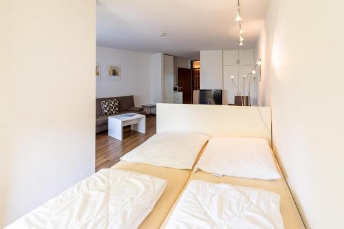 Ferienwohnpark Immenstaad am Bodensee Ein-Zimmer-Apartment 55 19