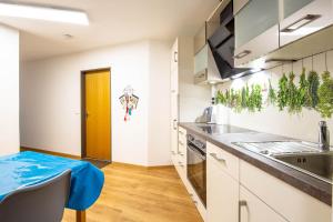 Ferienwohnpark Immenstaad am Bodensee Zwei-Zimmer-Apartment 49 04