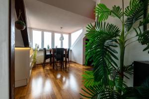 Ferienwohnpark Immenstaad am Bodensee Zwei-Zimmer-Apartment Typ 4 158
