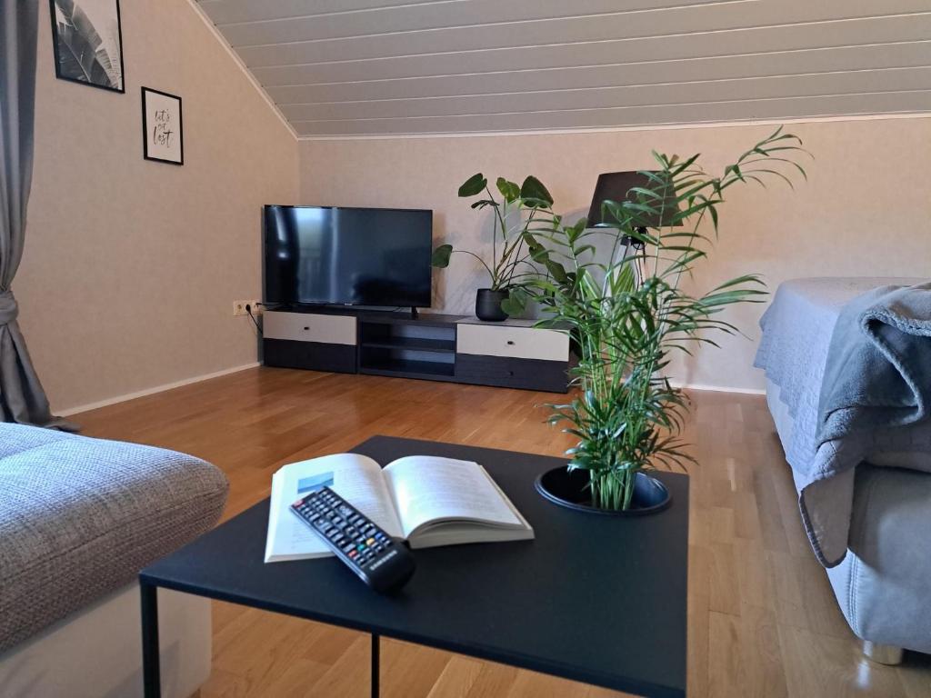 Ferienwohnung 29 29 Lindenstraße, 97892 Kreuzwertheim