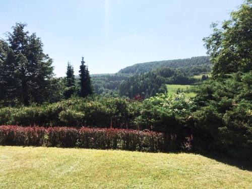 Ferienwohnung (70 qm) mit fantastischem Ausblick