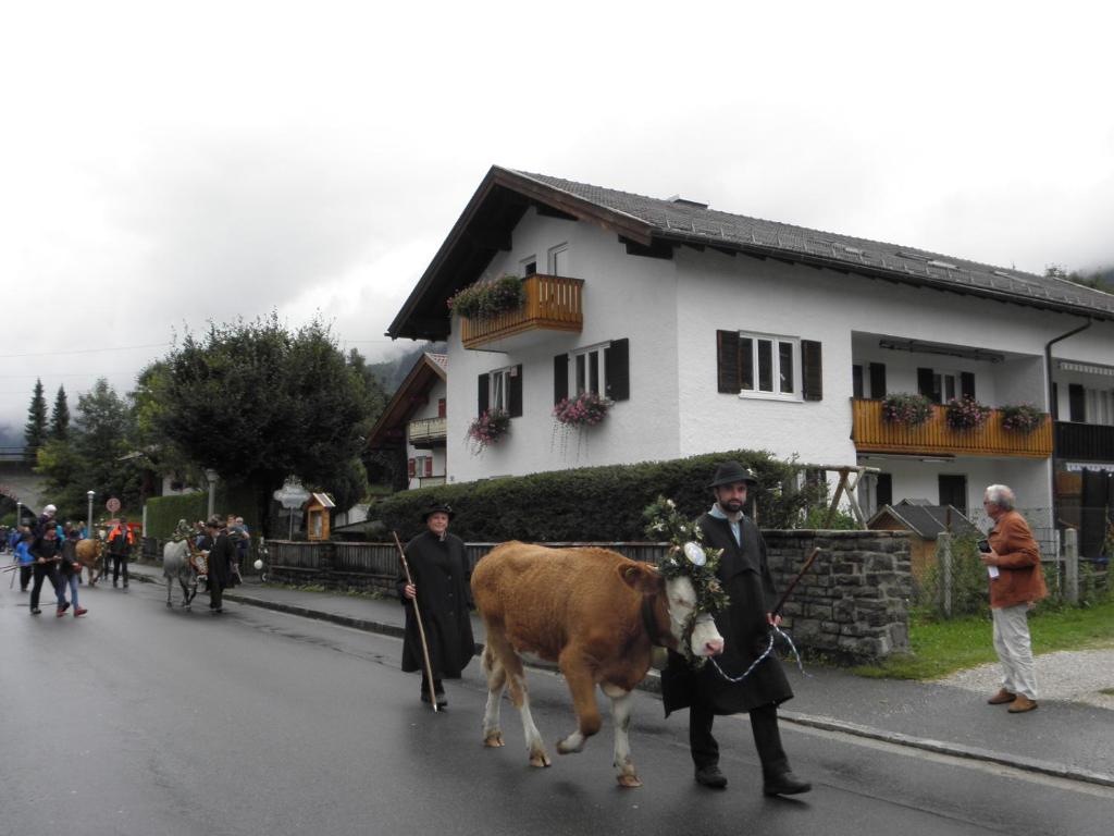 Appartement Ferienwohnung Adelia Franzi Partenkirchner Str. 32 Erdgeschoss 82481 Mittenwald