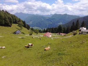 Ferienwohnung Adlerhorst