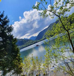 Appartement Ferienwohnung Alpen Sunshine Füssen 12 Schwedenweg 87629 Füssen Bavière