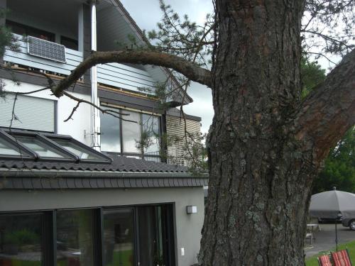 Ferienwohnung Alter Weinberg