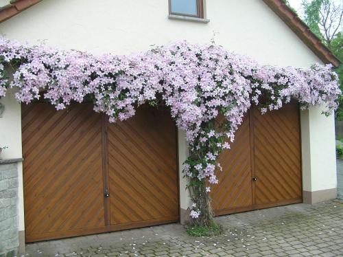 Ferienwohnung Am Alten Berg
