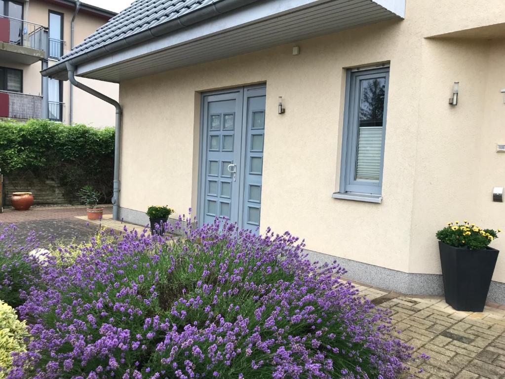 Appartement Ferienwohnung „Am Birkenhain“ 1 Am Birkenhain 17454 Zinnowitz