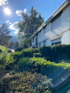Ferienwohnung am Brühl mit Terrasse und Garten