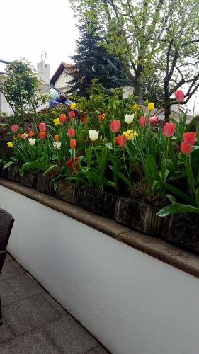 Ferienwohnung Am Eck