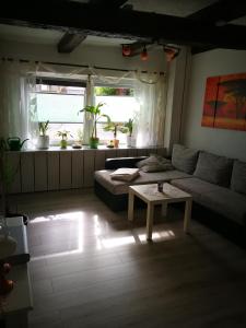 Appartement Ferienwohnung am Finkenherd Finkenherd 158 06493 Dankerode Saxe-Anhalt
