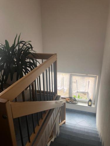 Ferienwohnung Am Grünen Band