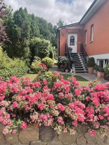 Appartement Ferienwohnung Am Hasenberg Am Hasenberg 47 18209 Bad Doberan Mecklembourg-Poméranie