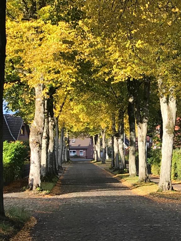 Ferienwohnung Am Holzfeld 38 Neue Straße Erdgeschoss, 29640 Schneverdingen