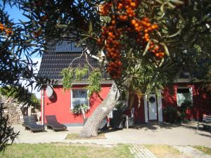 Appartement Ferienwohnung am Meer Dünenstr. 25 18146 Markgrafenheide Mecklembourg-Poméranie