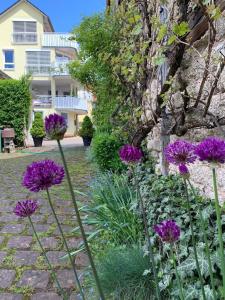 Appartement Ferienwohnung am Obstgarten Von-Hutten-Straße 7 97708 Bad Bocklet Bavière