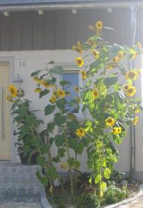 Ferienwohnung am Obstgarten