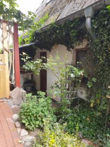 Ferienwohnung am Osterdeich