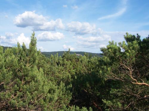 Ferienwohnung am Pfaffenfels