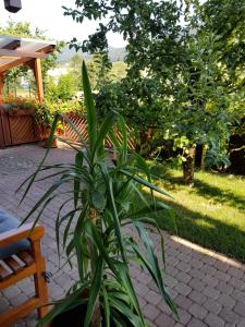 Appartement Ferienwohnung am Rain Obere Rainstrasse 4a 79297 Winden im Elztal Bade-Wurtemberg