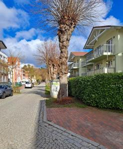 Ferienwohnung am Rhododendronpark, 300 m zum Strand