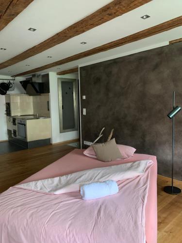 Ferienwohnung am Salmansweiler Hof