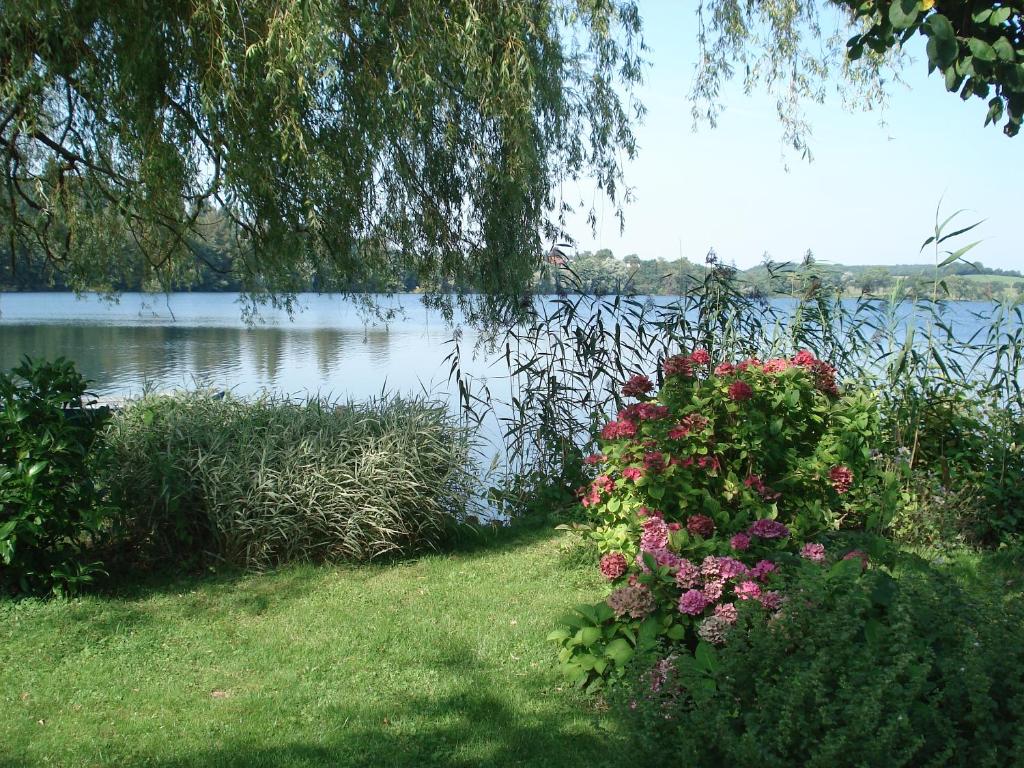 Ferienwohnung am Schöhsee Friedrichstr. 15A, 24306 Plön