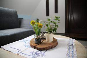 Ferienwohnung am Schwarzen Wehl