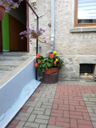 Ferienwohnung am See