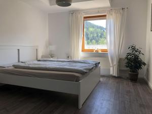 Appartement Ferienwohnung Am Sonnenhang 4 Am Sonnenhang 75337 Enzklösterle Bade-Wurtemberg