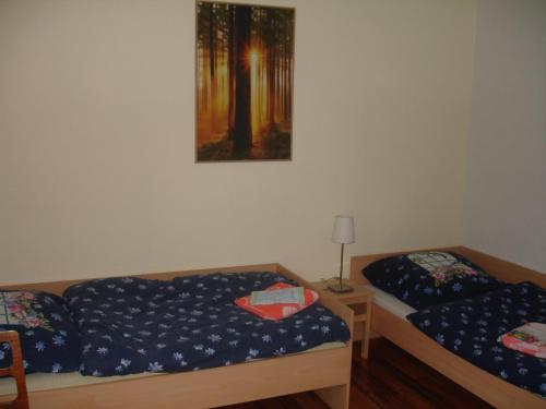 Ferienwohnung am Spitzberg