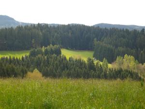Ferienwohnung Am Sulzbächle