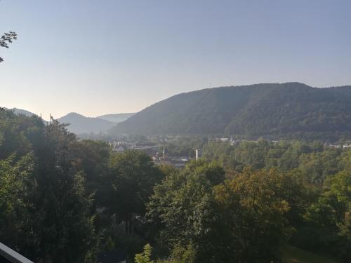 Ferienwohnung am Weinberg
