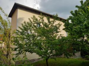 Ferienwohnung am Zeulenrodaer Meer