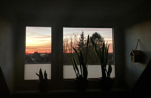 Ferienwohnung Amsel