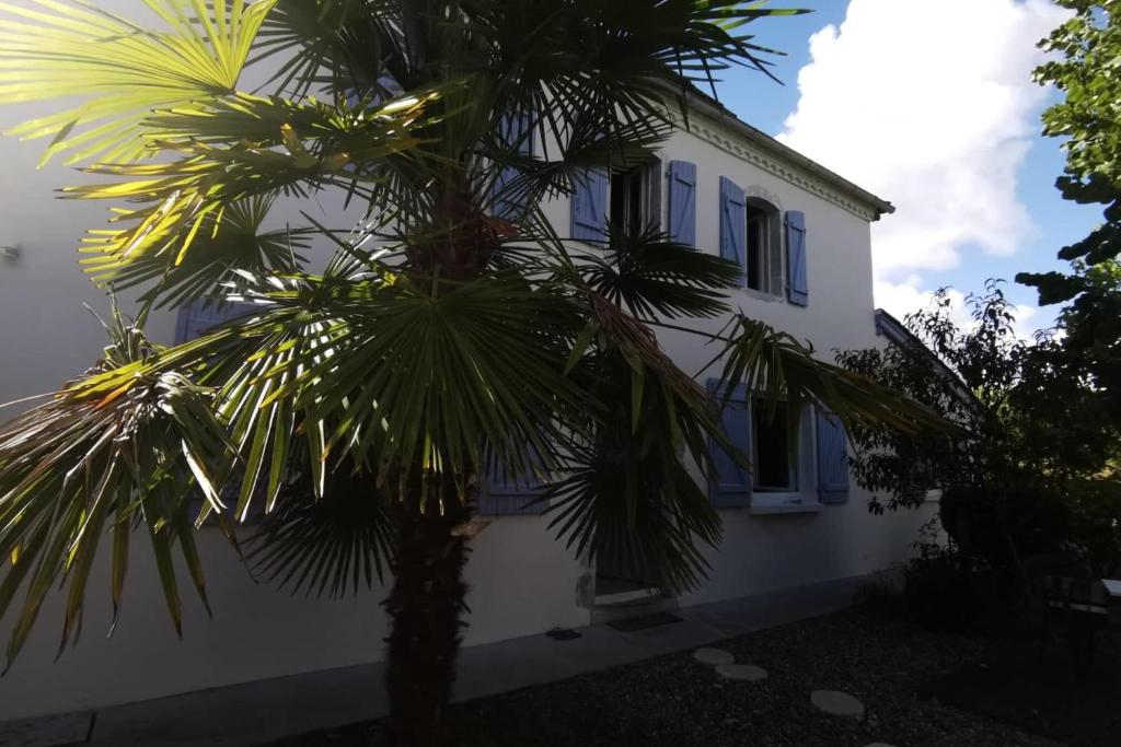 Ferienwohnung AMSELNEST 18225 Kühlungsborn