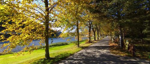 Ferienwohnung an der Elbe