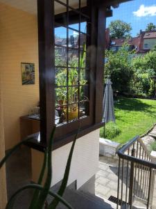 Ferienwohnung an der grünen Clara