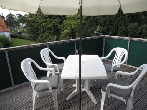 Ferienwohnung an der Harle Dachterrasse