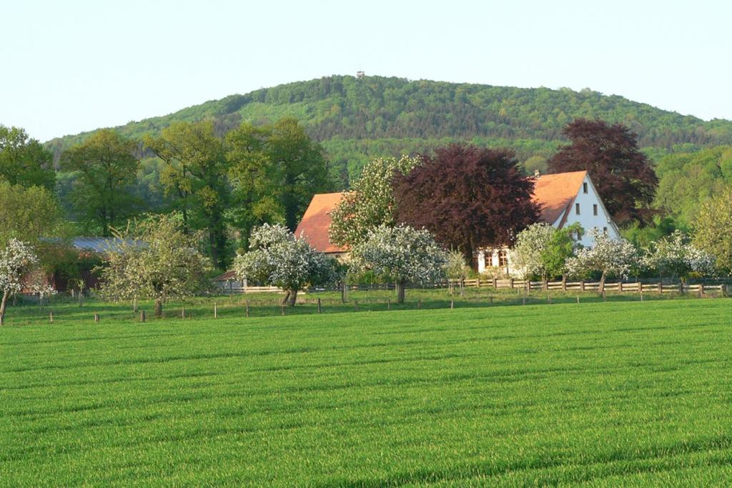 Ferienwohnung an der Obstwiese 24 Brinkstraße, 33829 Borgholzhausen