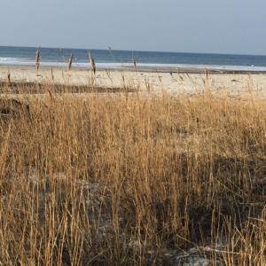 Ferienwohnung an der Ostsee bei Laboe