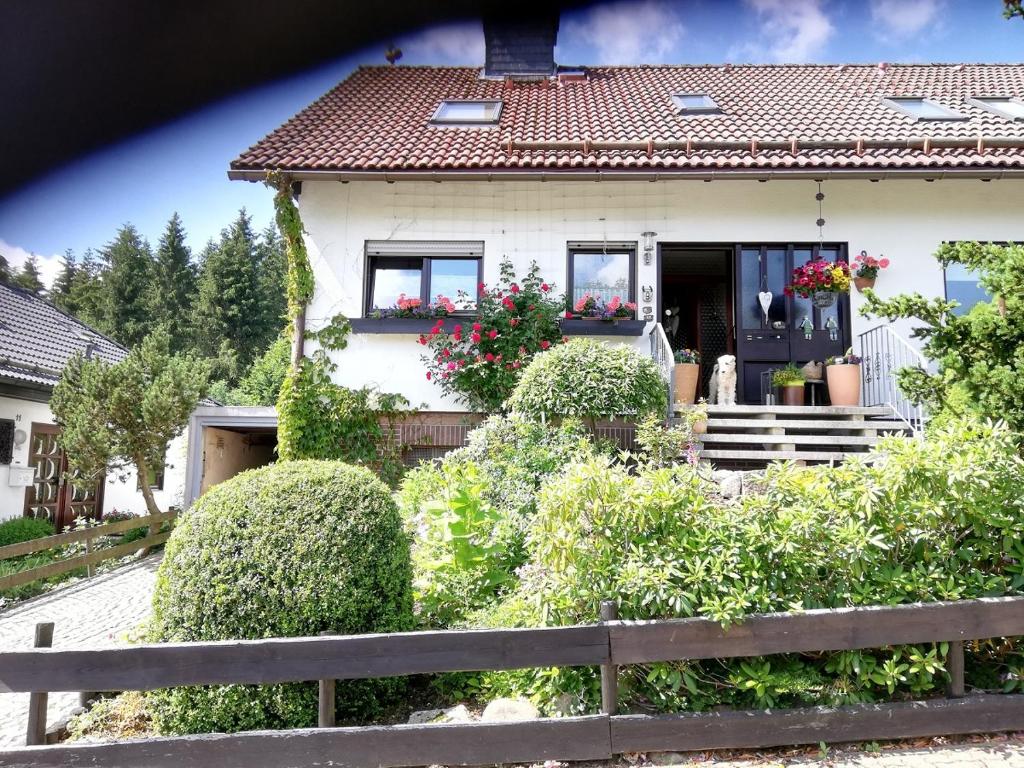 Appartement Ferienwohnung Anemone mit Bergblick Anemonenweg 9 38700 Braunlage