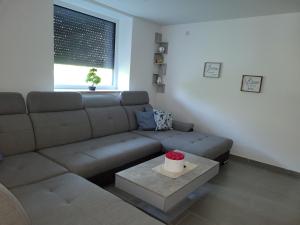 Appartement Ferienwohnung Annashome 19 Hölzlbergstraße 93142 Maxhütte-Haidhof Bavière