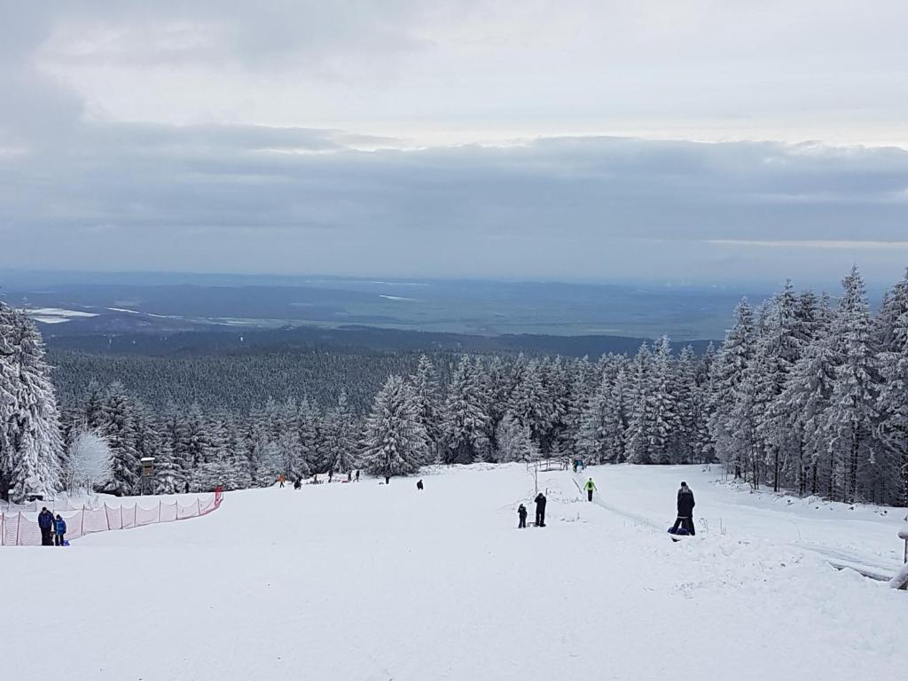 Ferienwohnung Annett & Matthias Hahnenklee Am Hahnenkleer Berg  4/619, 38644 Goslar