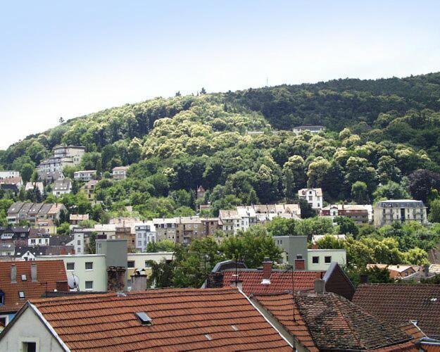 Ferienwohnung Appolonia Sauterstraße 54, 67433 Neustadt an der Weinstraße