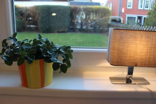 Ferienwohnung Arlt