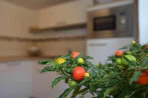 Appartement Ferienwohnung Arnold Obere Straße 11 01833 Stolpen Saxe