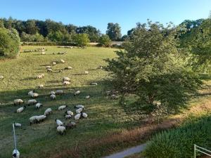 Ferienwohnung Aspach mit Waldblick