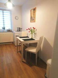 Appartement Ferienwohnung ATMOSPHÉRE Melanchthonstraße 20 02826 Görlitz Saxe