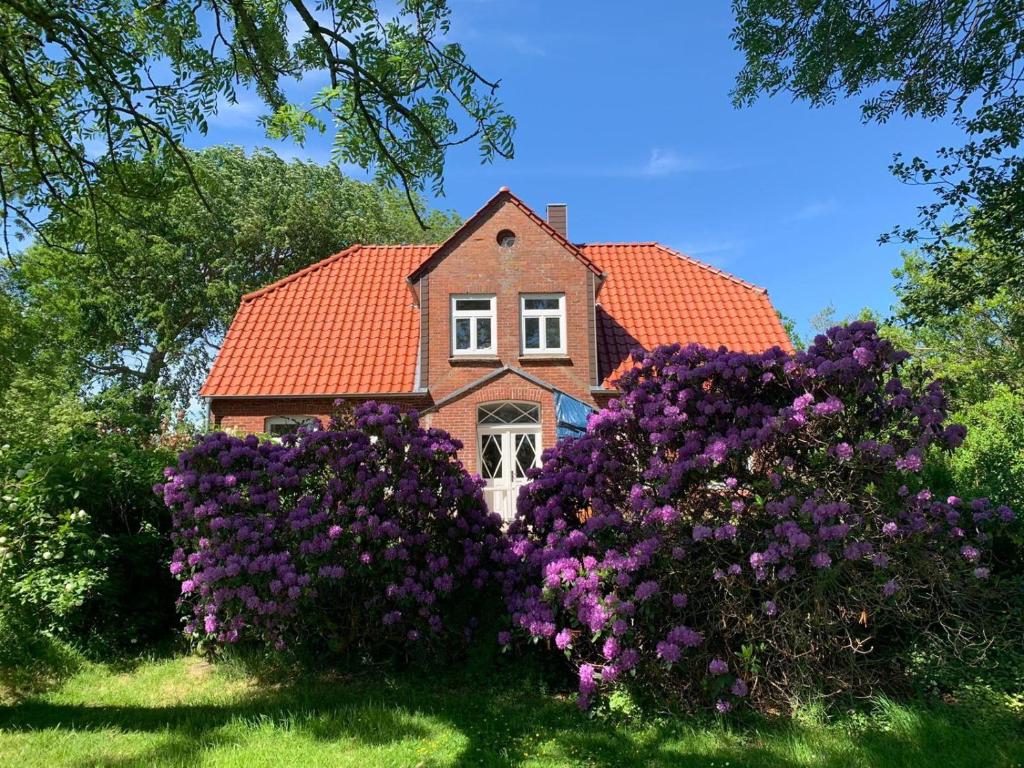 Ferienwohnung-auf-dem-Land Nordergeestweg 52, 25836 Garding